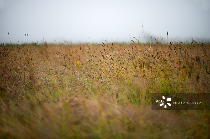 卡洛登战场图片素材