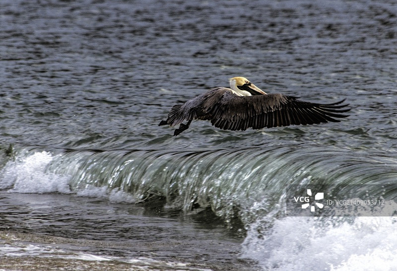 绝佳时机图片素材
