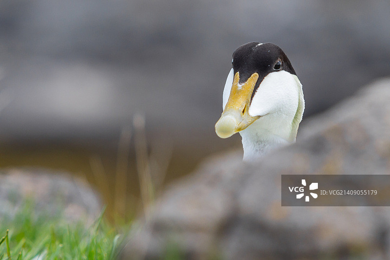 面对面图片素材