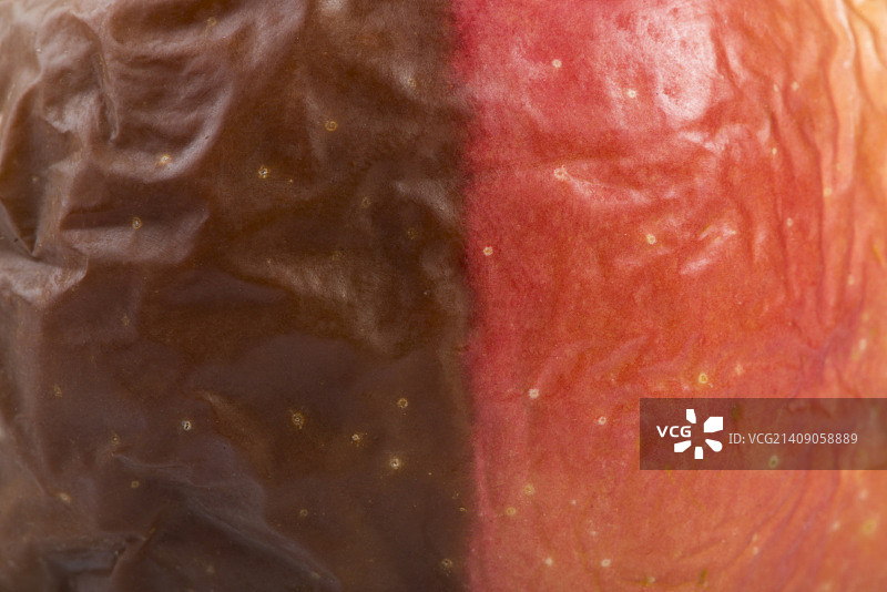 腐烂的苹果图片素材