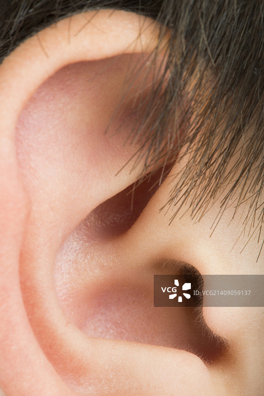 人耳图片素材
