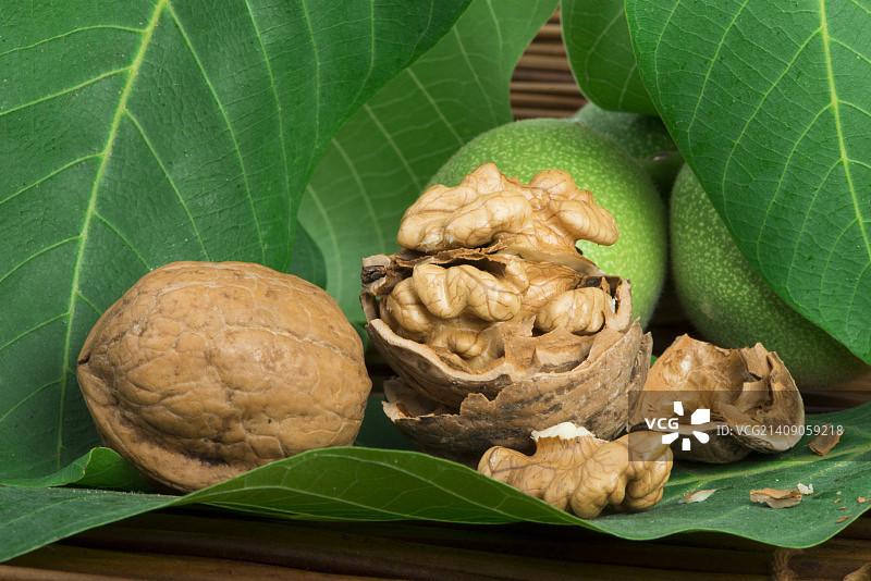 绿色和成熟的核桃：工作室拍摄图片素材