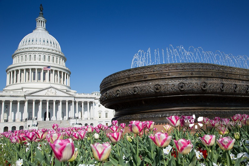 春季的国会大厦图片素材