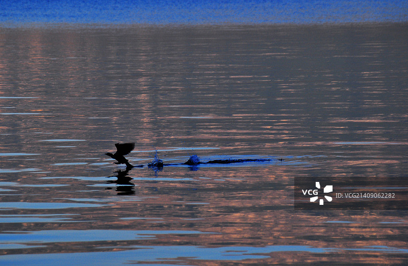 自由人图片素材