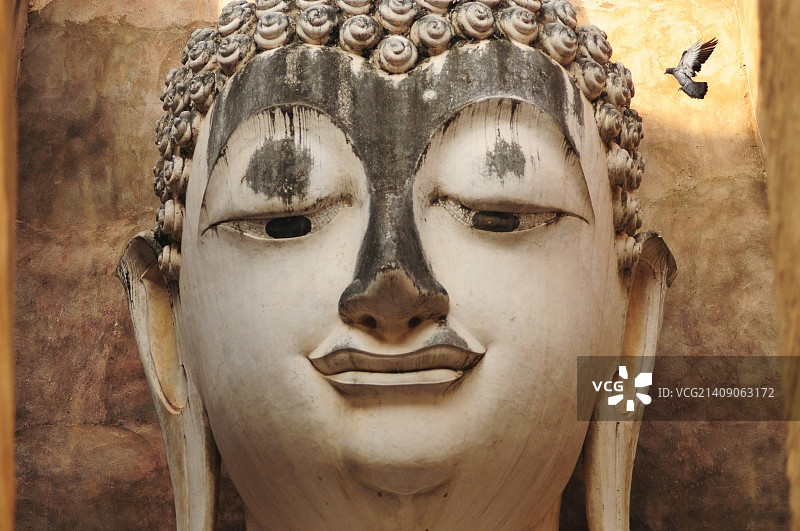 大佛与鸟图片素材