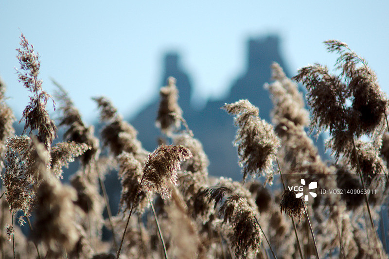 托洛茨基图片素材