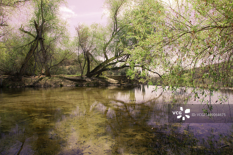 萨比诺小溪图片素材