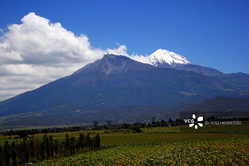 Alfonso Sandoval 拍摄作品图片素材