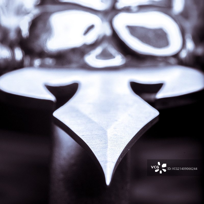 蝎子蓝梭鱼图片素材