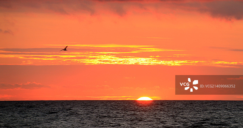 追逐伊卡洛斯图片素材