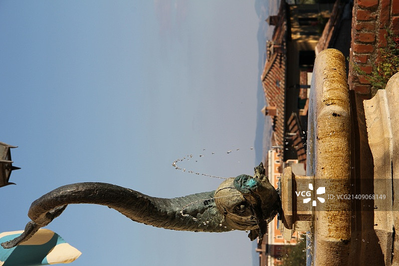 意大利锡耶纳坎波广场鱼形喷泉图片素材