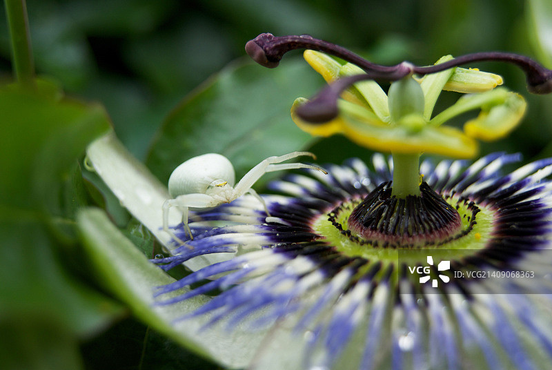 法国拉罗谢尔图片素材