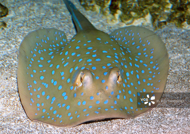 2014年7月23日星期三图片素材