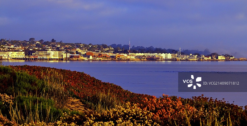 蒙特雷的早晨图片素材