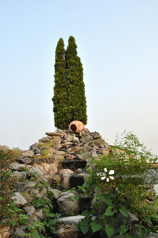 山丘上的春天与柏树图片素材