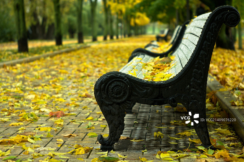 俄罗斯莫斯科新圣女修道院公园图片素材