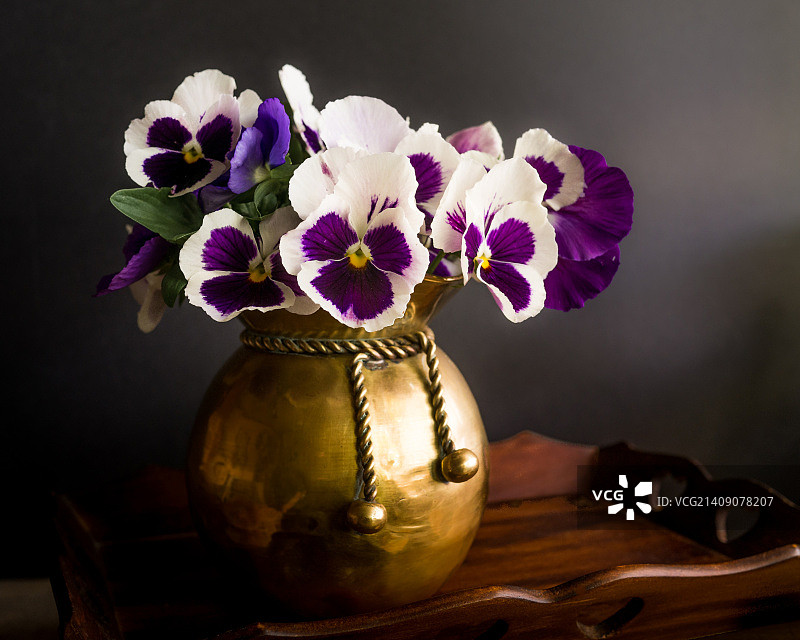 三色堇与黄铜图片素材