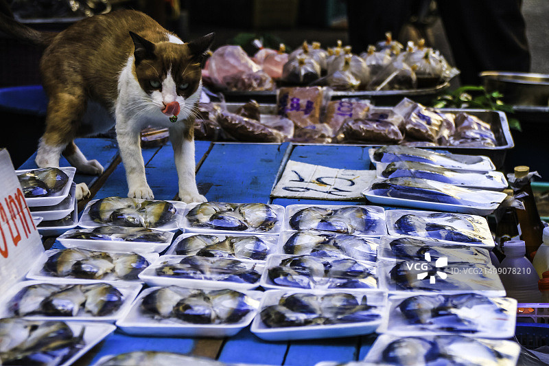 这是我的图片素材