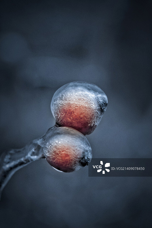 冰镇灯泡 2图片素材