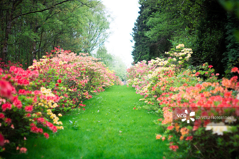 无标题的图片素材