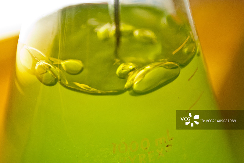 微生物实验室烧杯中的气泡图片素材