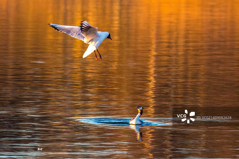 芬兰坦佩雷图片素材