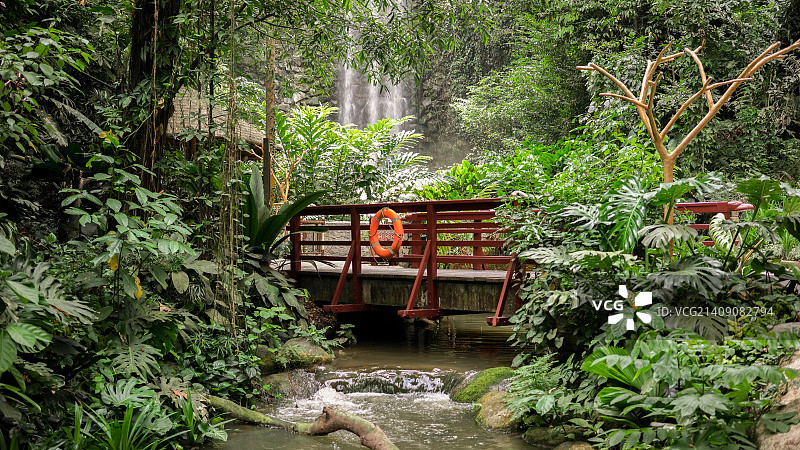 新加坡裕廊飞禽公园瀑布图片素材