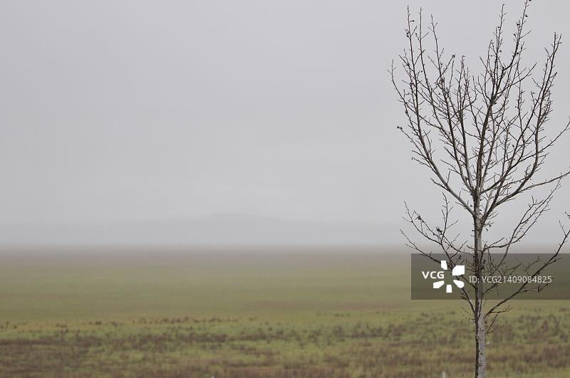 乔治湖的晨雾图片素材