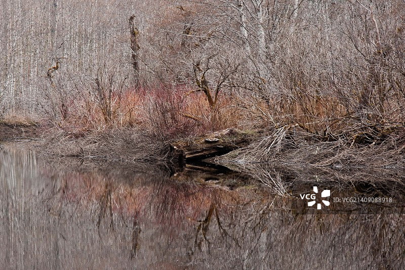 斯基纳河的倒影图片素材