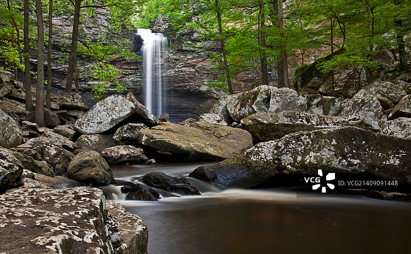 雪松瀑布的黎明图片素材