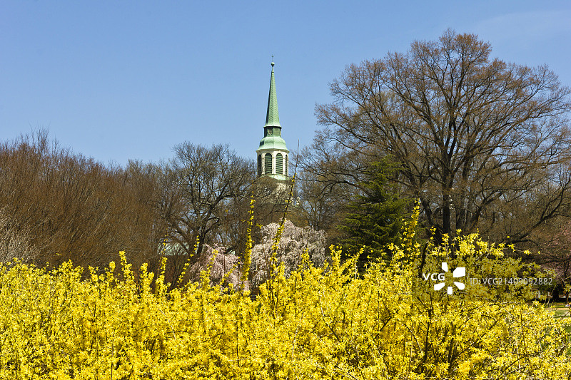 维克森林的春天图片素材