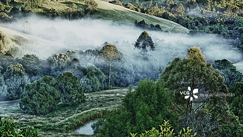 Cooroy, 昆士兰图片素材