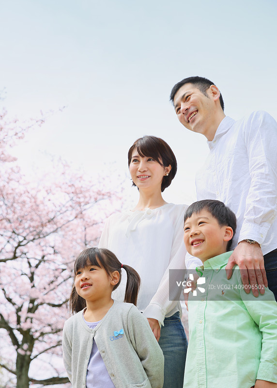 在城市公园观赏樱花的日本家庭图片素材