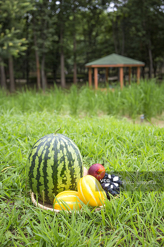 夏天的水果图片素材