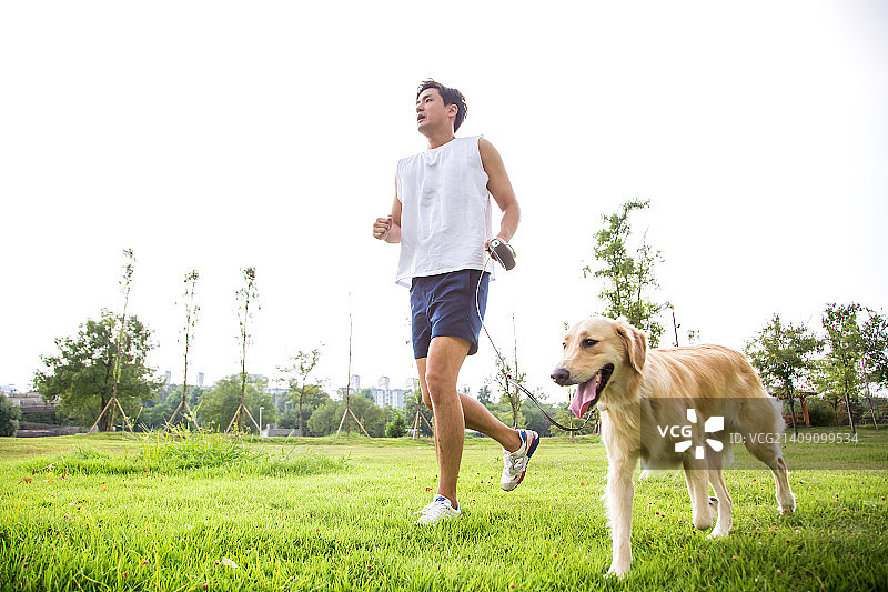 宠物与我II图片素材