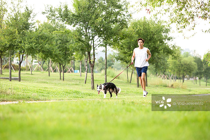 宠物与我II图片素材