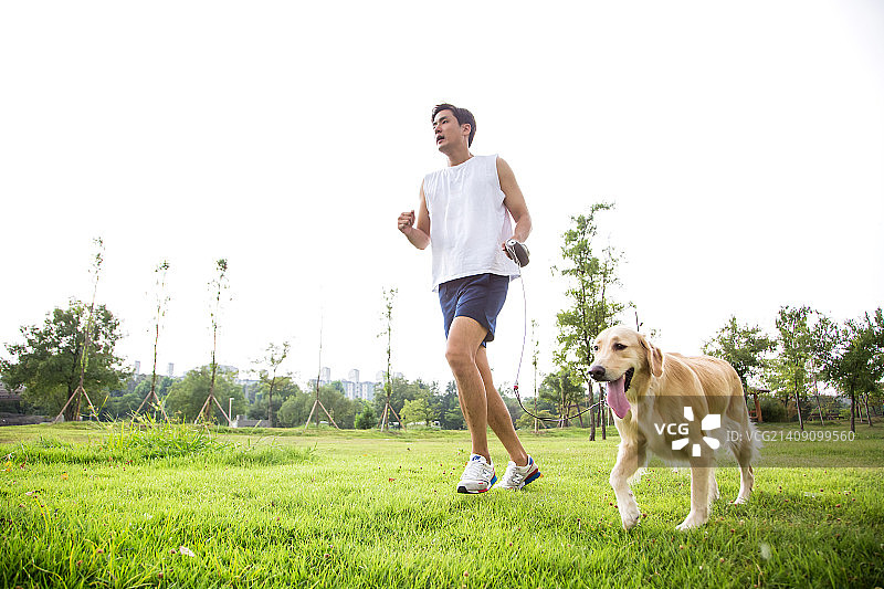 宠物与我II图片素材