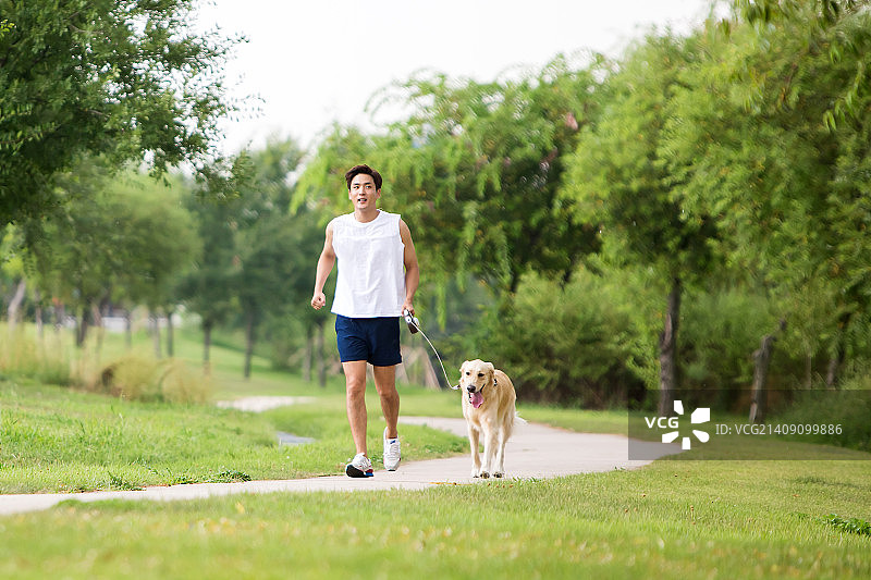 宠物与我II图片素材