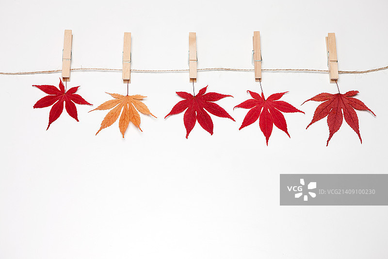 秋季物品图片素材