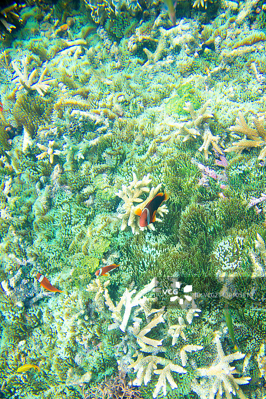 度假胜地图片素材