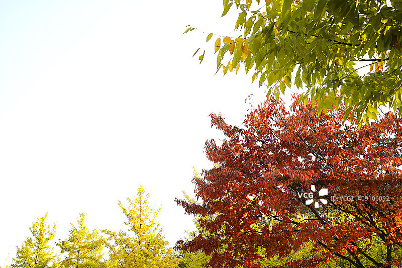 秋季风光图片素材