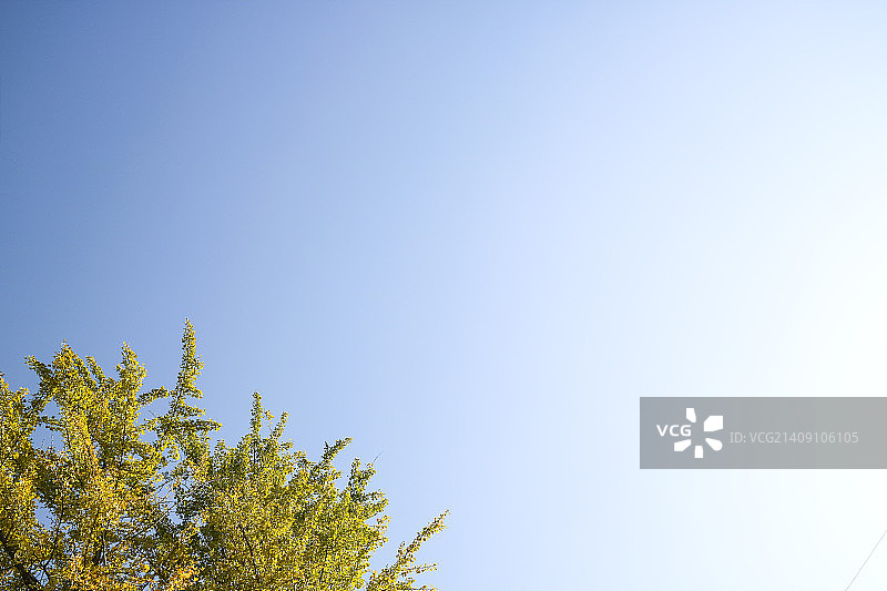 秋季风光图片素材