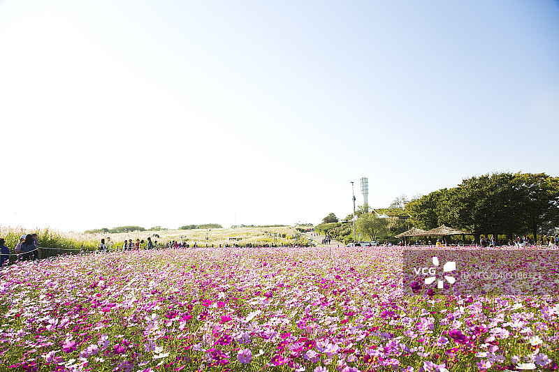 秋季风光图片素材
