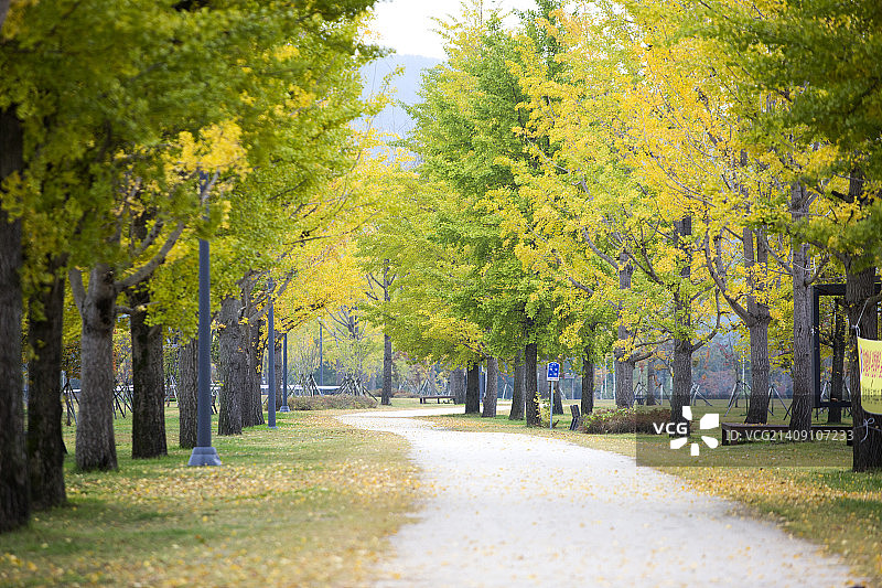 秋季风光图片素材