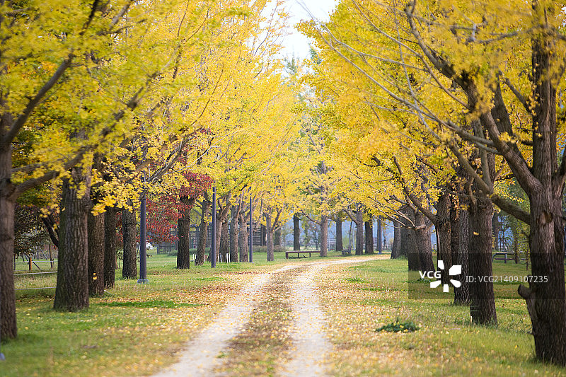 秋季风光图片素材