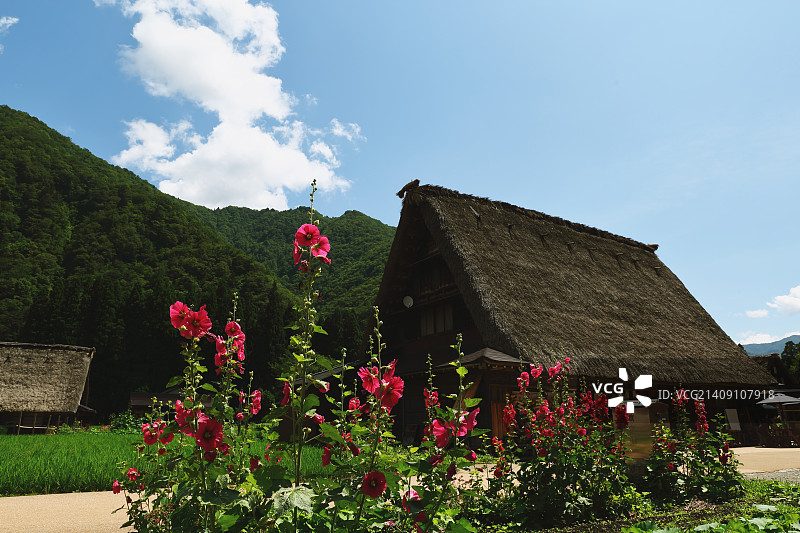 富山县五箇山的传统日式村落图片素材