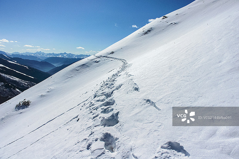 少有人走的路图片素材
