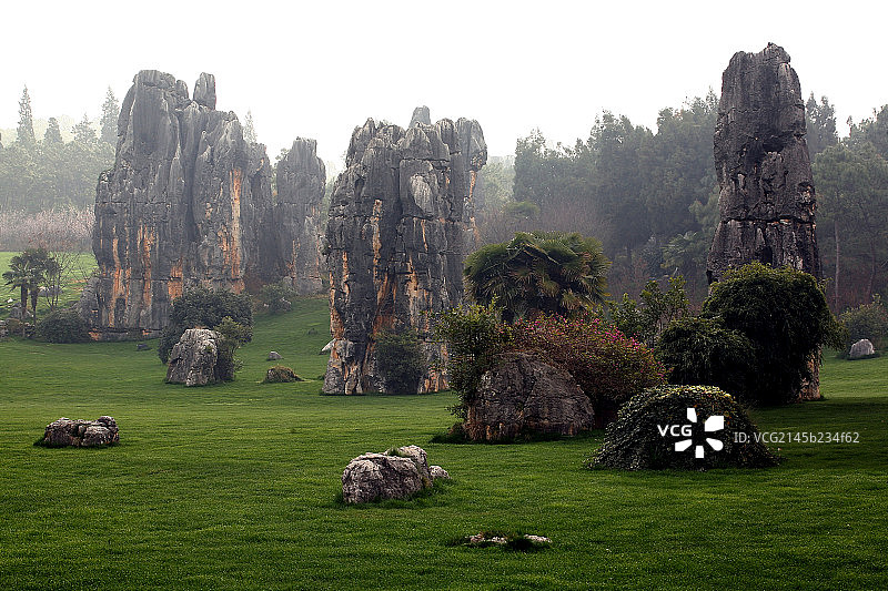 雾里石林图片素材