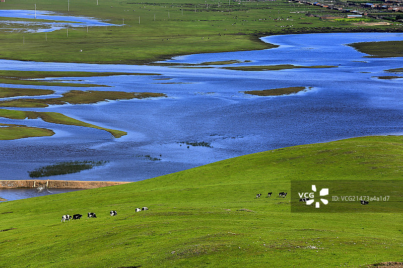 风景秀丽的呼伦贝尔海拉尔草原图片素材