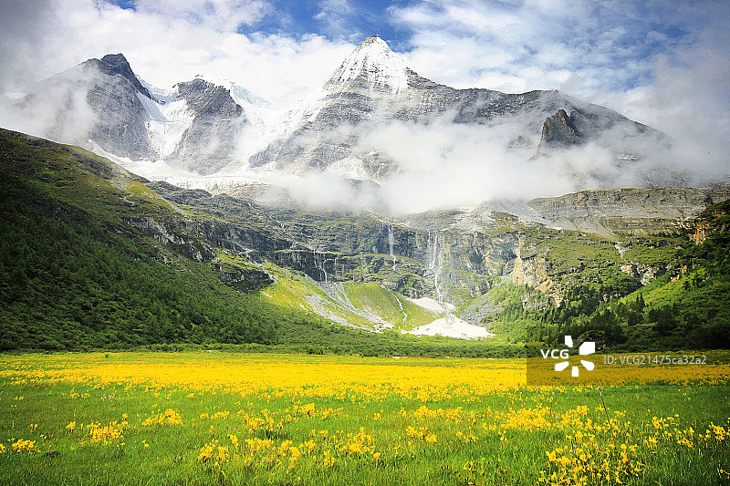 雪山与花海图片素材